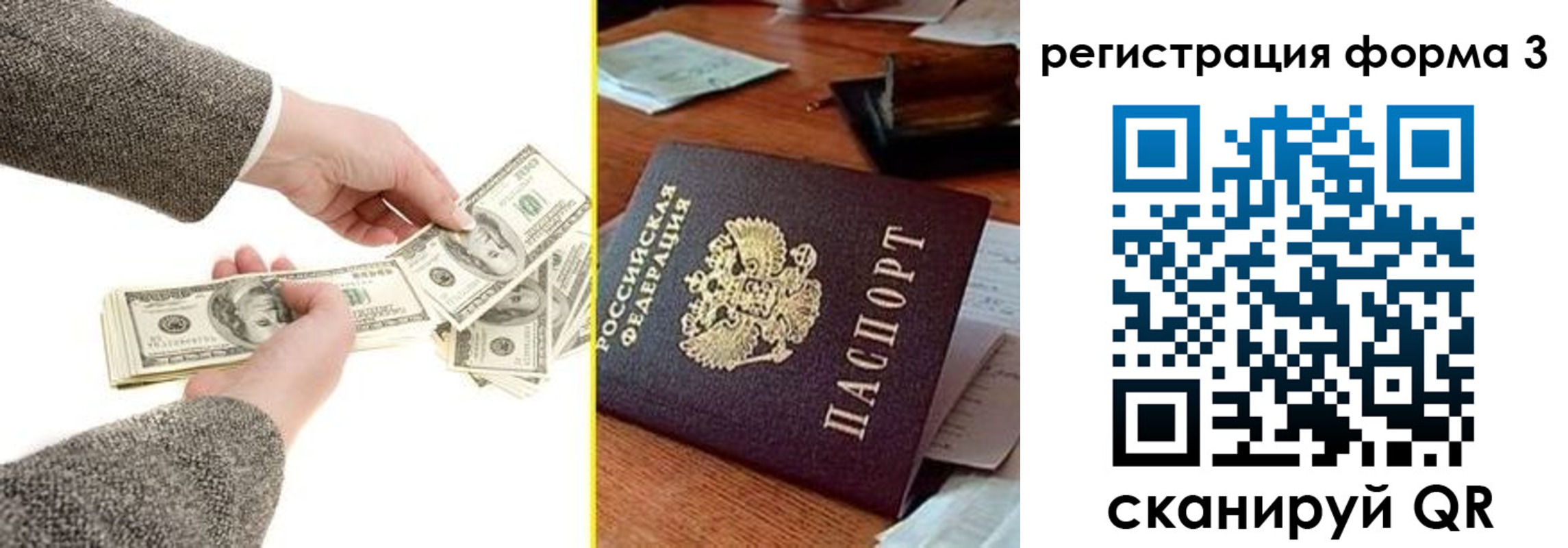 прописка гарантия в Рошале